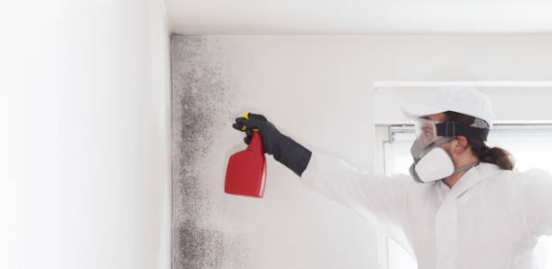 Best Mold Removal Process  in Rome, GA